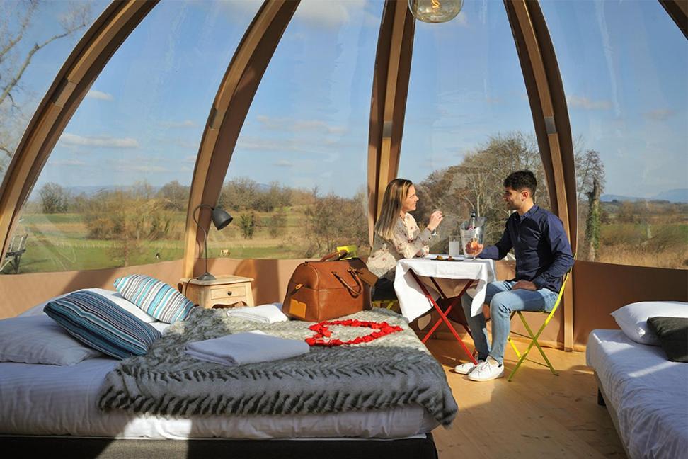 Domaine De Suzel Hotel Vignieu